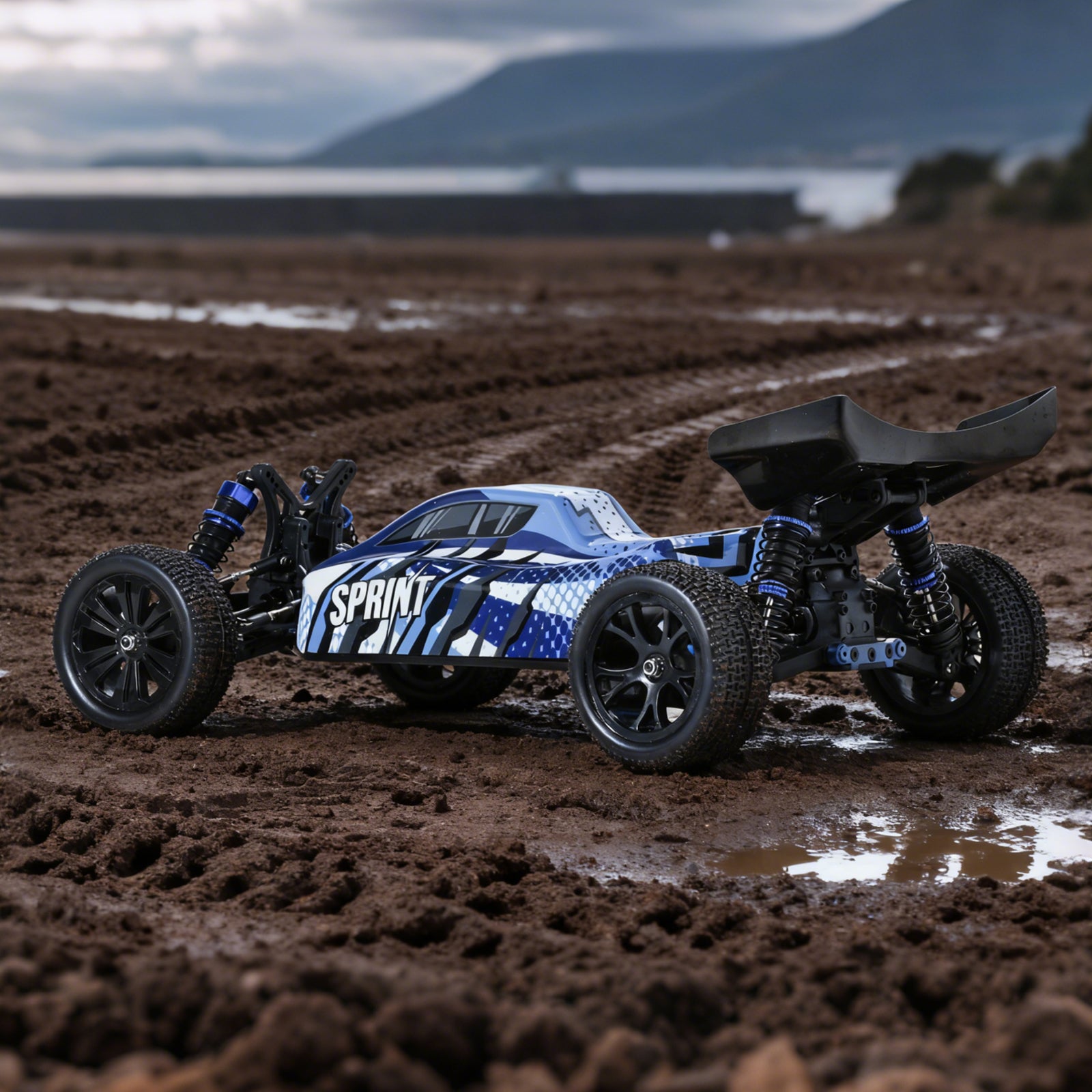 SPRINT 1/10 Scale 4WD Off-road Electric RC buggy 2.4G Brushless High Speed ​​RTR #RH1068